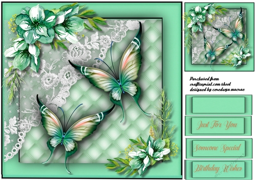 Butterflys , Lace and roses 5