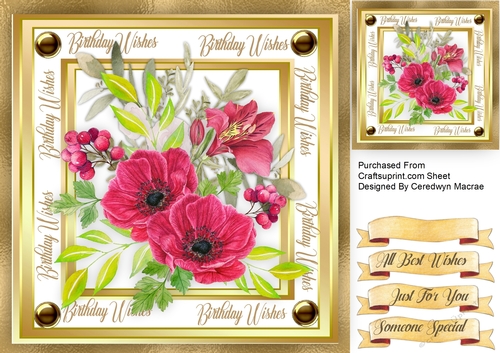 Beautiful Red Anemmonie  Infussion 