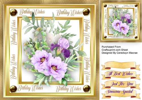 Beautiful Lilac  Infussion 