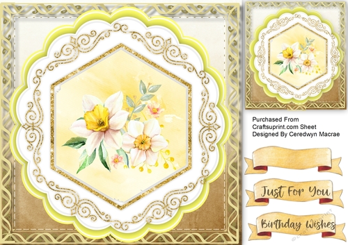 Beautiful Dream Daffodils 
