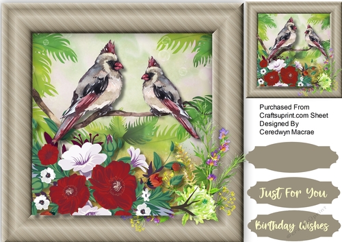 Beautiful Cardinals and Red Peunias 