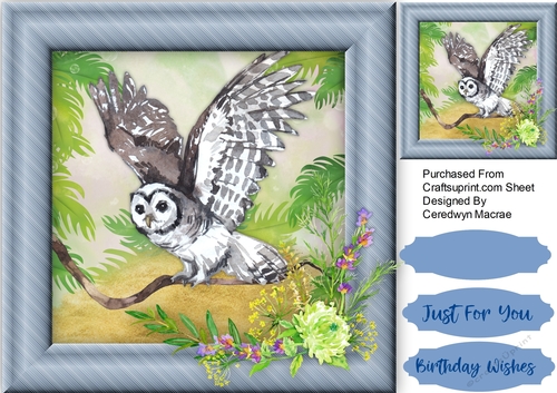 Beautiful Owl Spreding His Wings 
