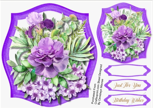 Beautiful  Lilac  Blooms 