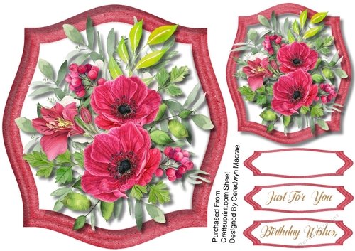 Ravishing Red  Blooms 