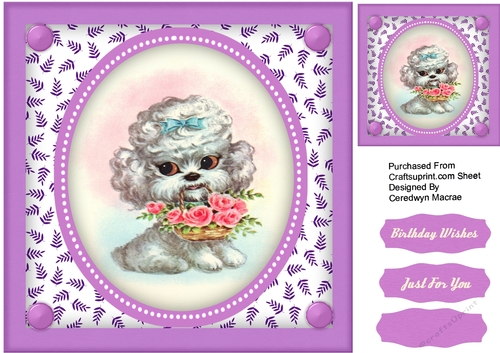 Beautiful Poodle with Basket 