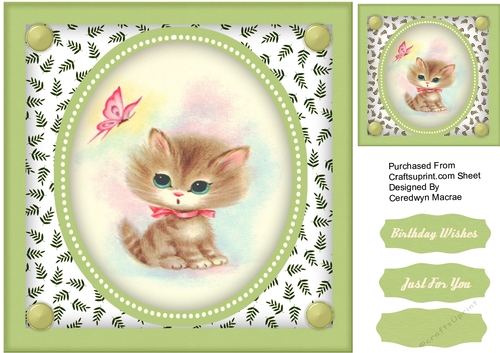 Little Kitty and Butterfly
