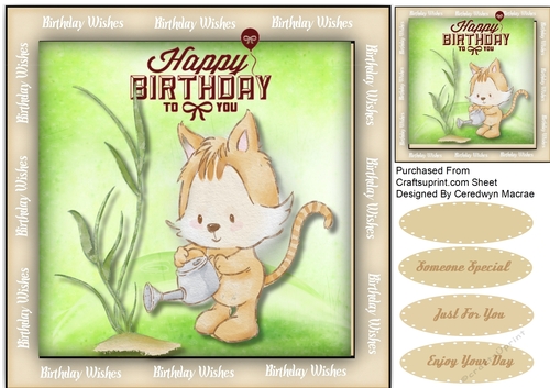 Kitty Cats Birthday Plant