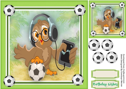 Groovy Owl on the Ball 