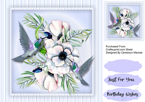 Humming Birds and Flowers 1