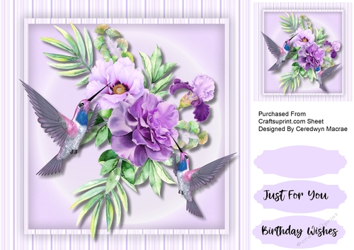 Humming Birds and Flowers 2