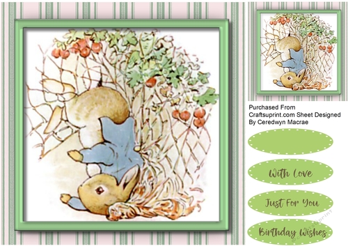 Topsy-Turvy Perter Rabbit