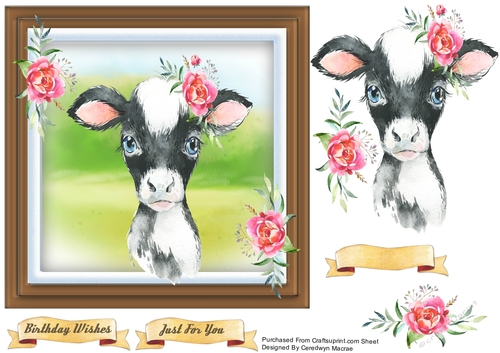 Beautiful Baby Cow
