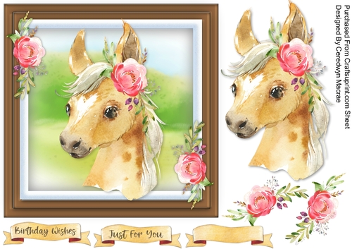 Beautiful Baby Foal