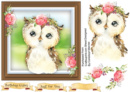 Beautiful Baby Owl