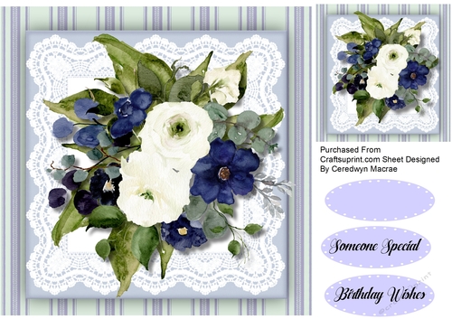 Beautiful White and Blue Roses