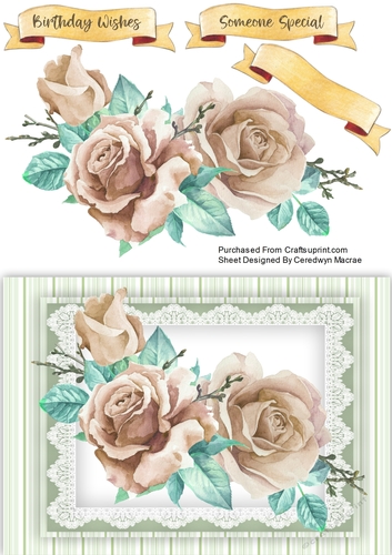 A5 , Gorgeous Cream Roses 