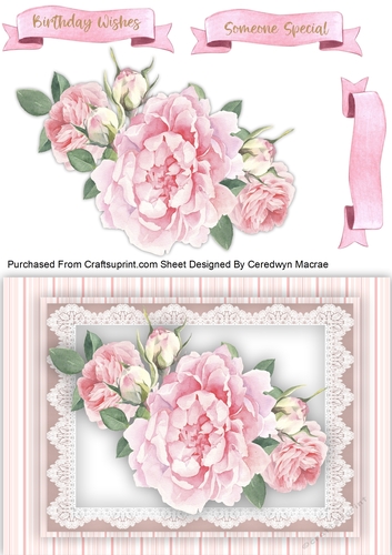 A5 , Gorgeous Pink Roses 