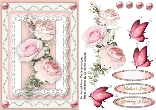 Beautiful French Roses 