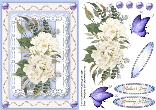 BeautifulWhite Peonies