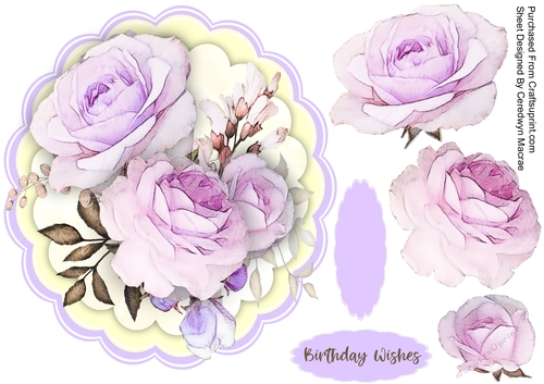 Beautiful Lilac French Roses 