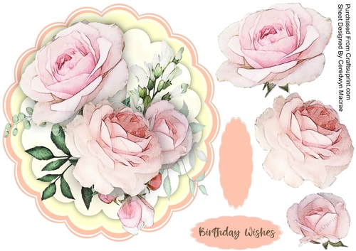 Beautiful Pink French Roses 
