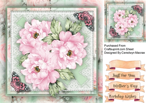Pink Peonys  , Lace and Butterflys 