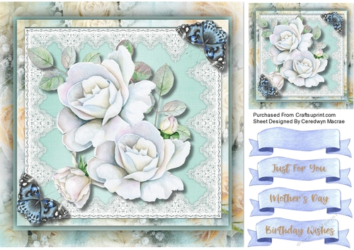 White Roses   , Lace and Butterflys 