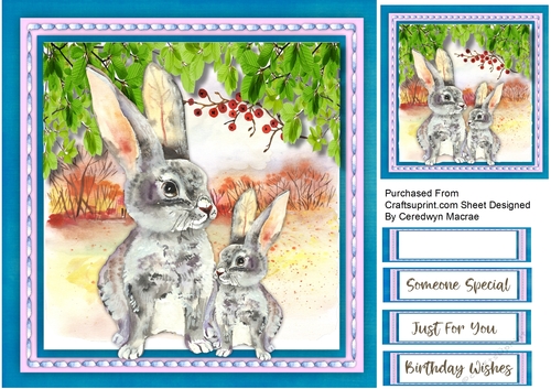 Beautiful Rabbits in the Wild 
