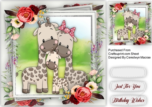 Lovely Giraffe Family 