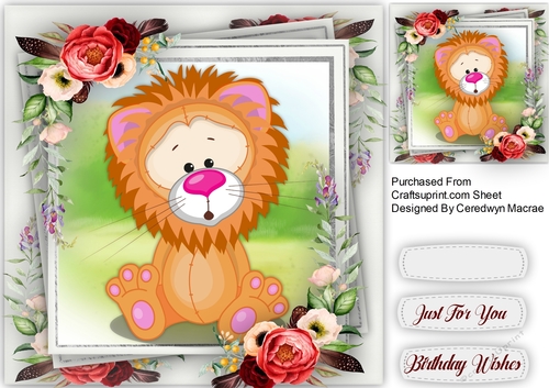 Lovely Little Lion 