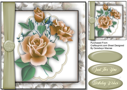 Peach Roses and Ribbon Wrap 