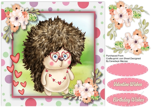 Hedgehogs Bad Hair Day