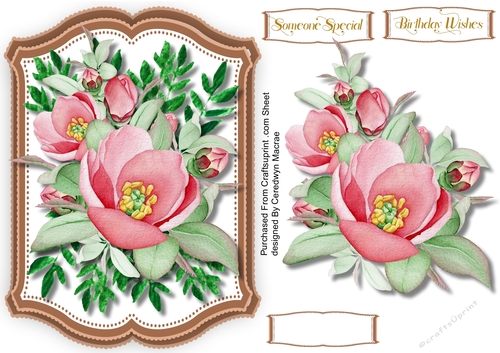 Beautiful Dog Roses 