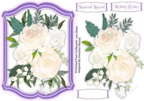 Beautiful peace Roses 