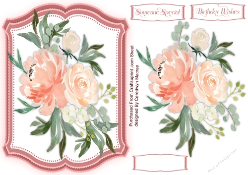 Beautiful Peaches And Cream 