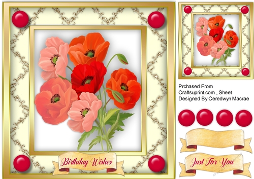 Beautiful Poppys in a Gold Frame 