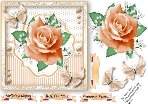 Peach Roses in a Shaped Mat