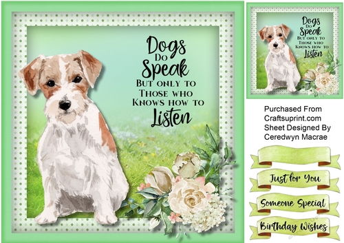 A  Mans Best Friend  3, Terrier