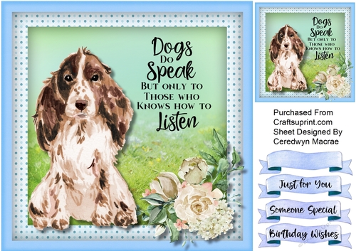 A  Mans Best Friend  ,4 Spaniel