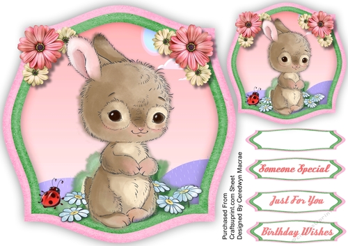 Bunny and Daisys