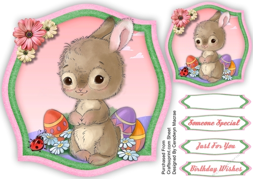 Bunny and Eggs