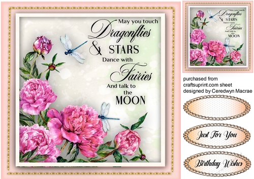 Beautiful Dragonflies and Stars 1