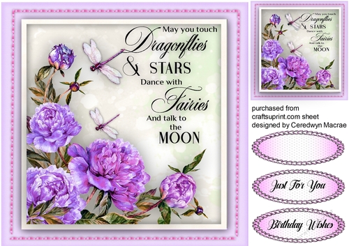 Beautiful Dragonflies and Stars 2
