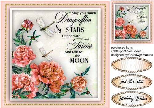 Beautiful Dragonflies and Stars 3