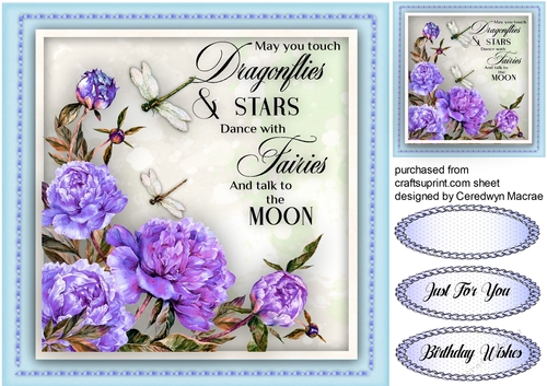 Beautiful Dragonflies and Stars 4