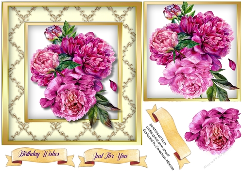 Deep Cerise Peony Roses