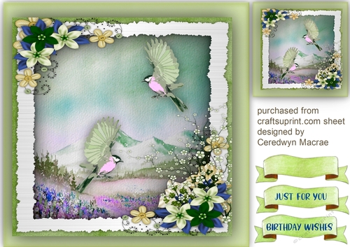 Beautiful Humming Birds on the Wing 2