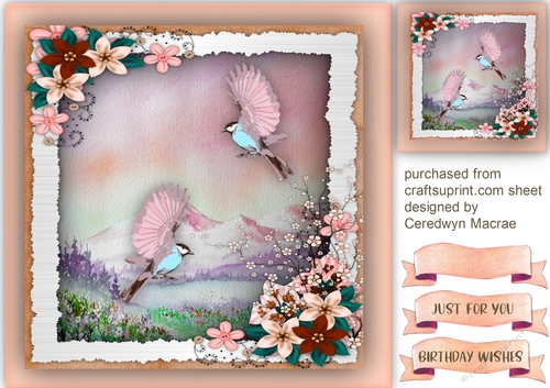 Beautiful Humming Birds on the Wing 3