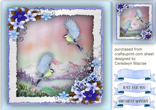Beautiful Humming Birds on the Wing 4