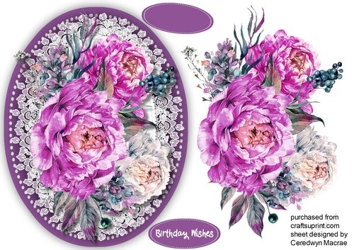 Beautiful Lilac Peonys 